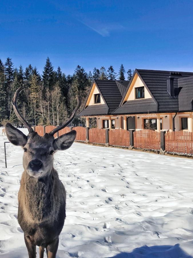 M Domki Zakopane Exteriör bild
